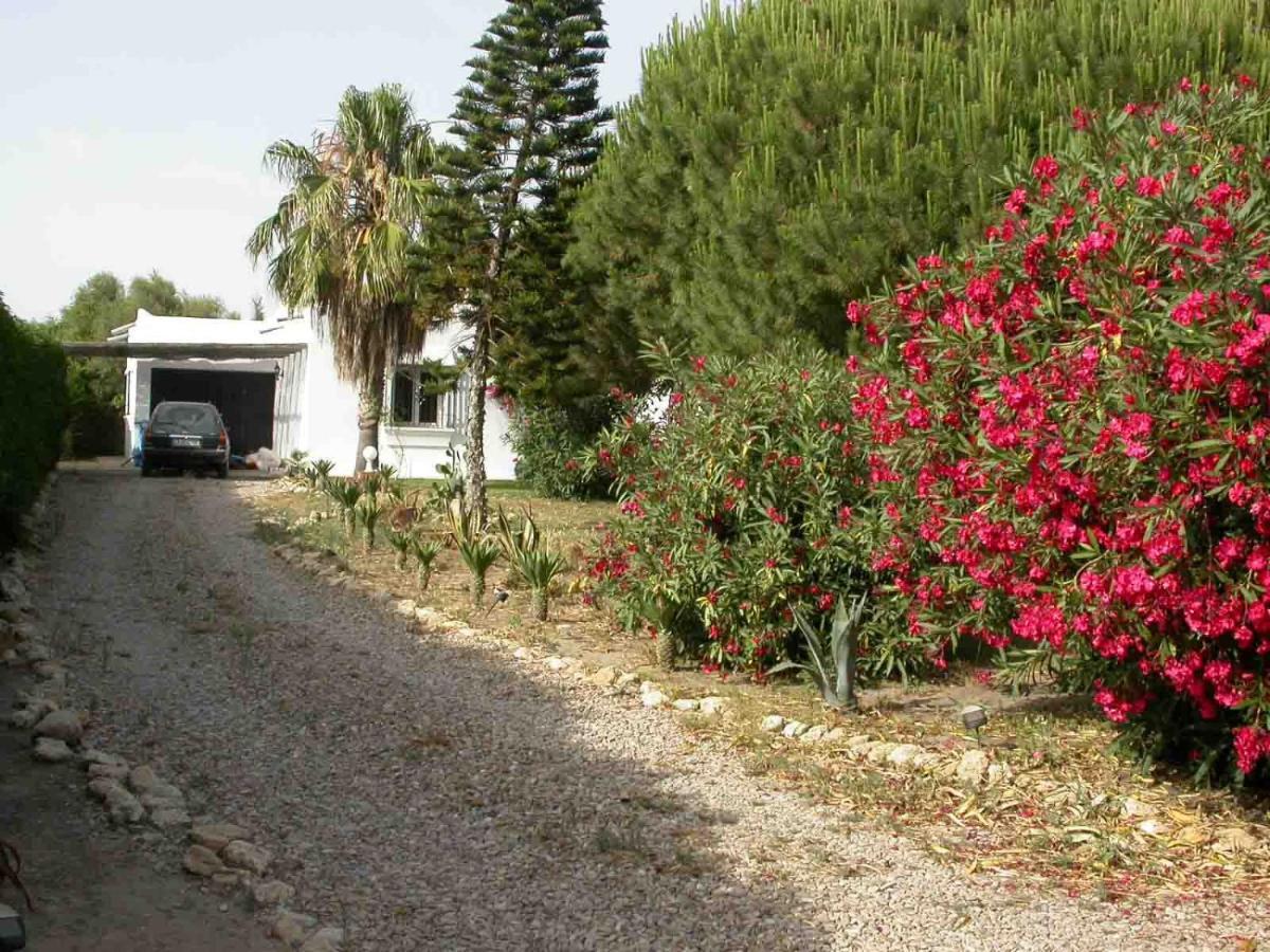 Beach front villa 10,000m2 botanic garden Zahora Exteriör bild